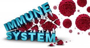 Das Immunsystem ist die Hauptbarriere gegen COVID-19